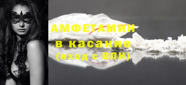 ГАЛЛЮЦИНОГЕННЫЕ ГРИБЫ Аркадак