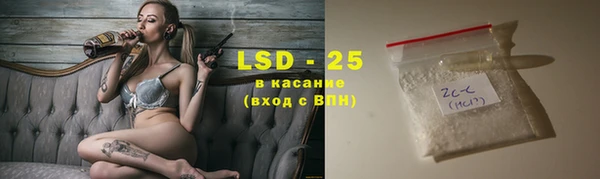 ГАЛЛЮЦИНОГЕННЫЕ ГРИБЫ Аркадак