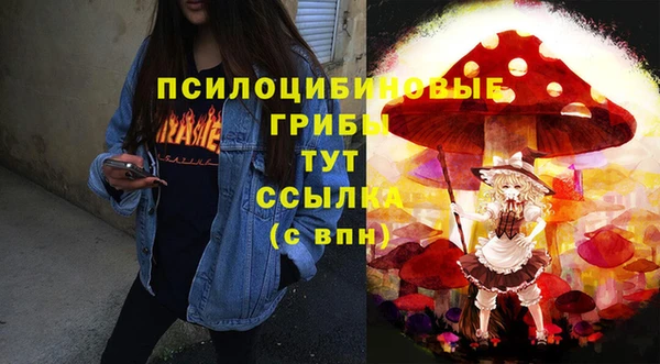 эйфоретик Арсеньев