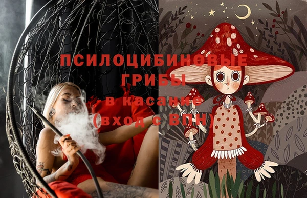 эйфоретик Арсеньев