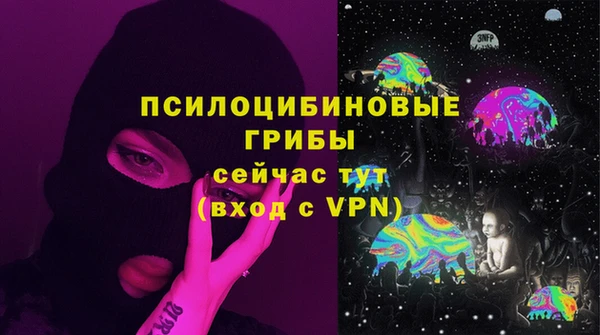 ГАЛЛЮЦИНОГЕННЫЕ ГРИБЫ Аркадак