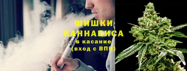 ГАЛЛЮЦИНОГЕННЫЕ ГРИБЫ Аркадак
